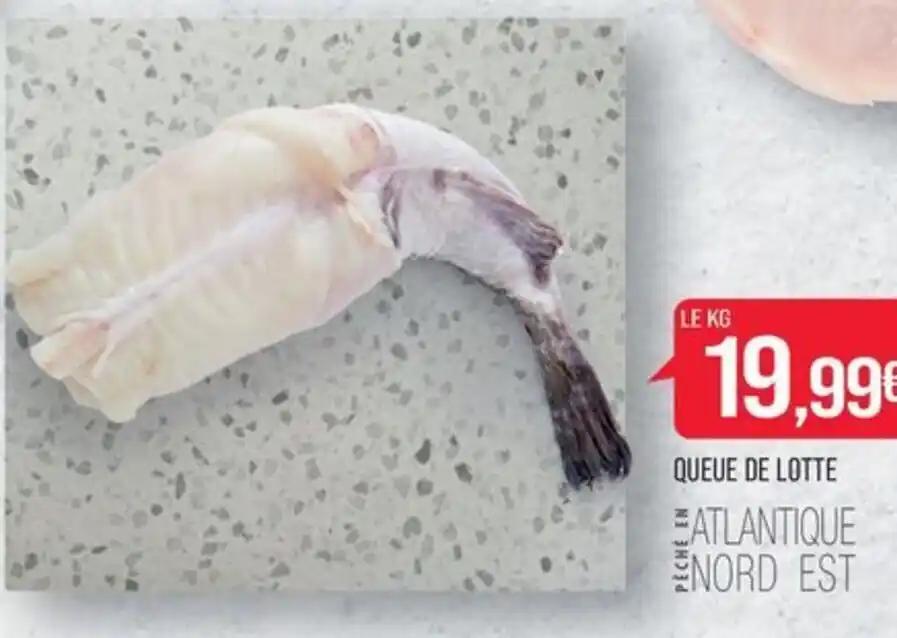 QUEUE DE LOTTE