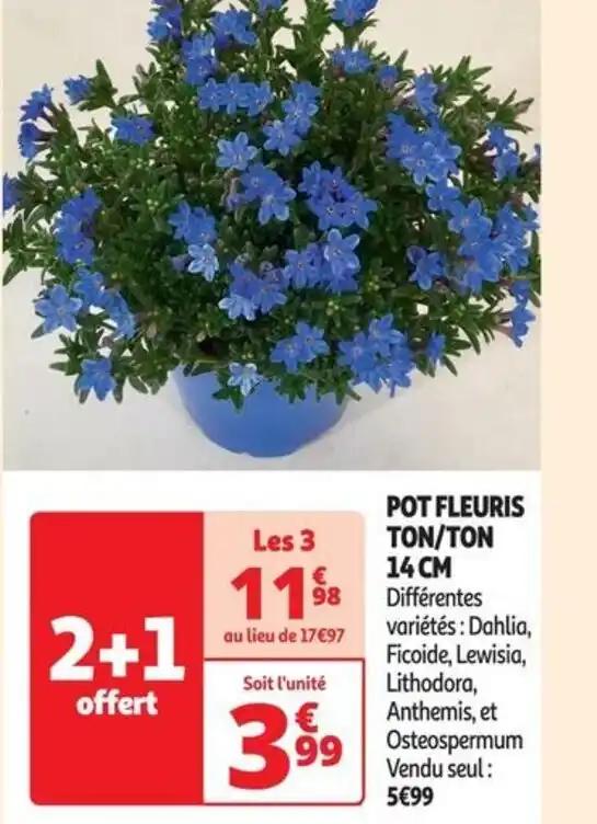 POT FLEURIS TON/TON 14 CM