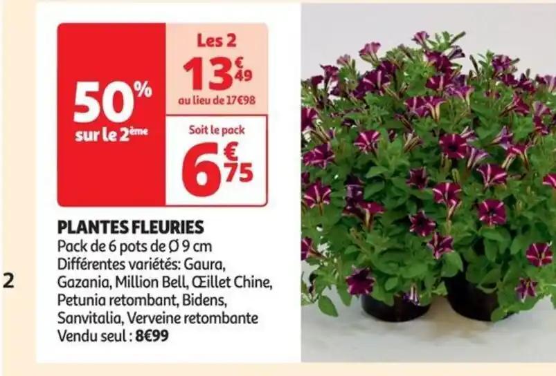 PLANTES FLEURIES