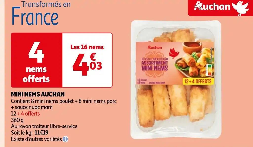 MINI NEMS AUCHAN