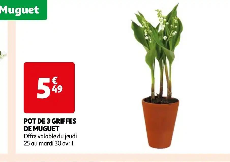 POT DE 3 GRIFFES