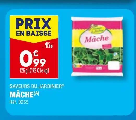 SAVEURS DU JARDINIER MÂCHE