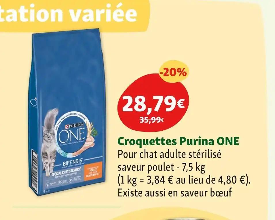 Purina ONE Croquettes