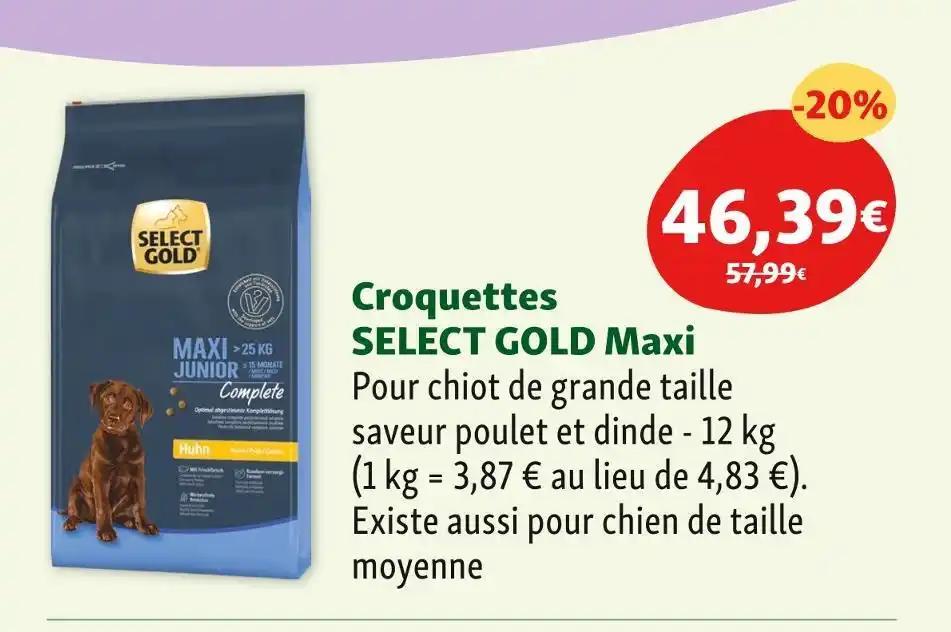 SELECT GOLD Croquettes Maxi