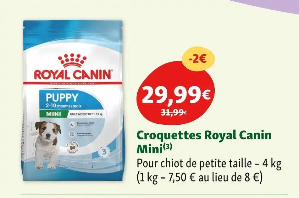 Royal Canin Croquettes Mini
