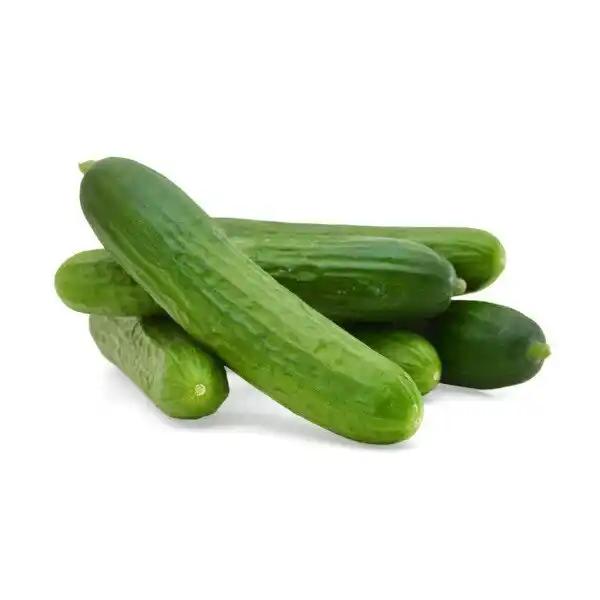 Concombre