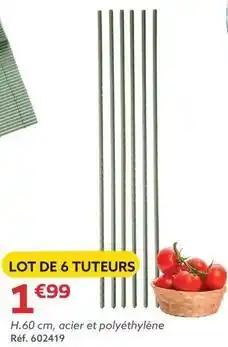 Lot de 6 tuteurs