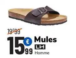 Lh - mules