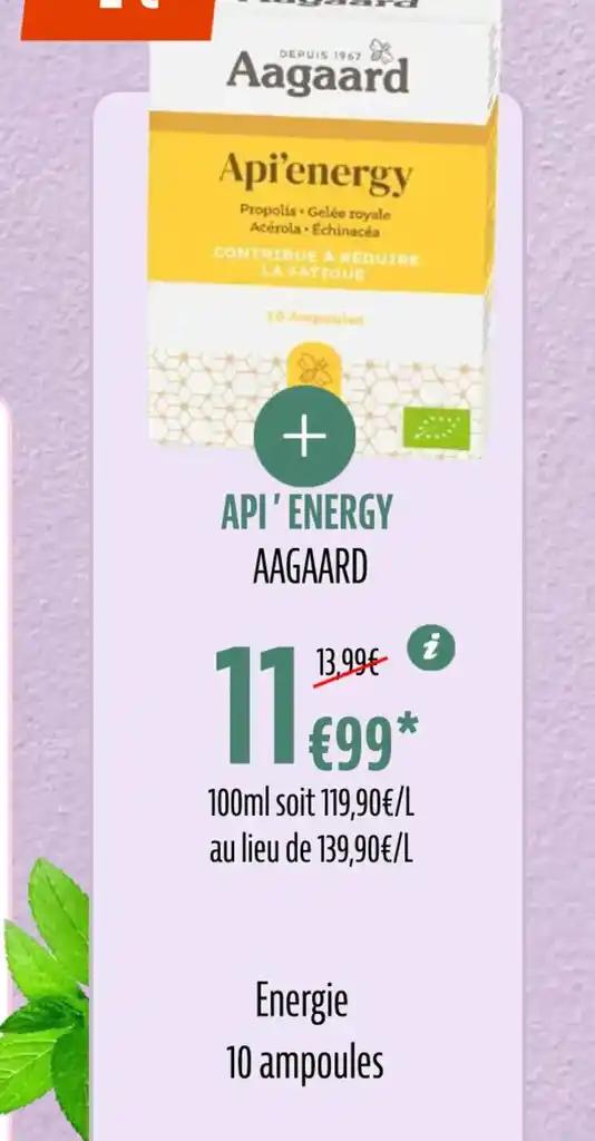 Api'energy