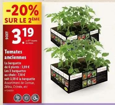 Tomates anciennes