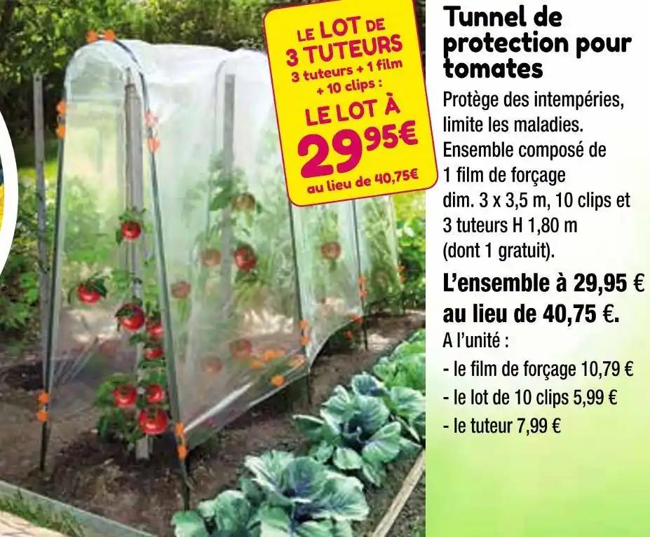 Tunnel de protection pour tomates