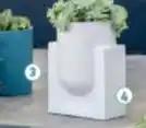 Pot en grès socle