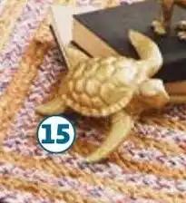 TORTUE ACTUEL