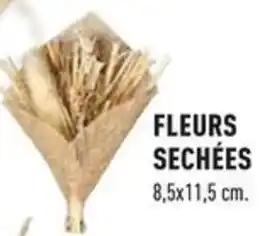 FLEURS SECHÉES