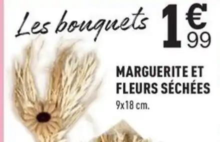 MARGUERITE ET FLEURS SÉCHÉES 9x18 cm.