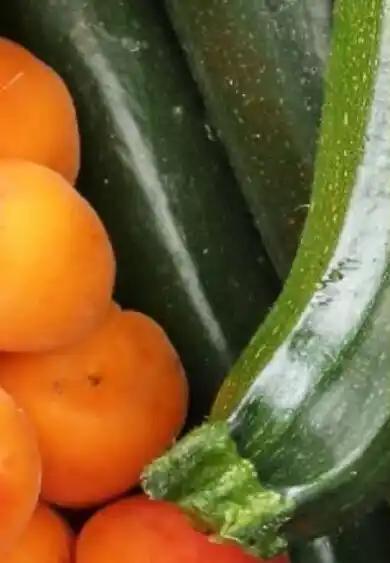 Courgette (1)