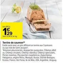 Terrine de saumon