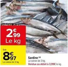 Sardine