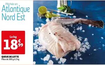 QUEUE DE LOTTE