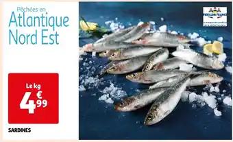 SARDINES