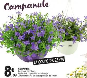 CAMPANULE