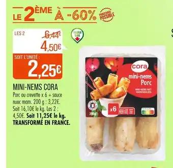 CORA MINI-NEMS