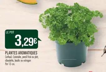 PLANTES AROMATIQUES