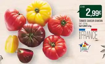 TOMATE SAVEUR D’ANTAN