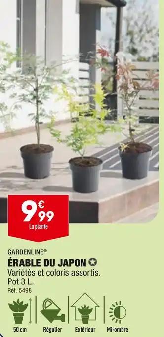 GARDENLINE ÉRABLE DU JAPON