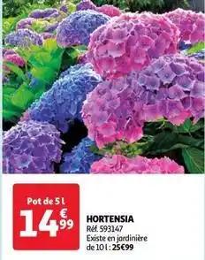 Hortenisa