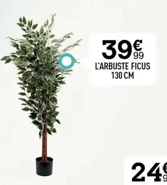 L'ARBUSTE FICUS 130 CM