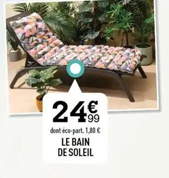 LE BAIN DE SOLEIL