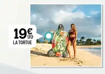 LA TORTUE