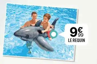 LE REQUIN