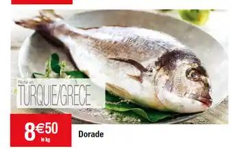 Dorade