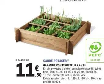 CARRÉ POTAGER(6)