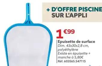 Epuisette de surface