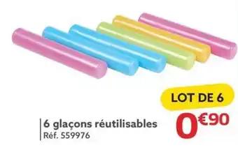 6 glaçons réutilisables