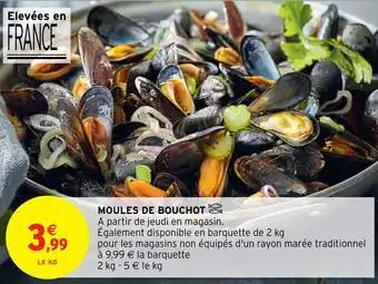 MOULES DE BOUCHOT