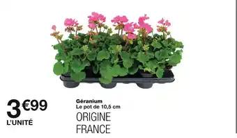 Géranium