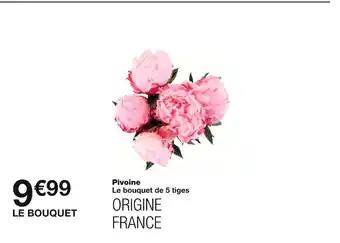 Pivoine