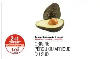 Avocat hass