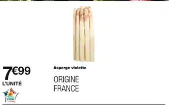 Asperge violette