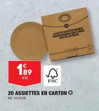 20 ASSIETTES EN CARTON ✪