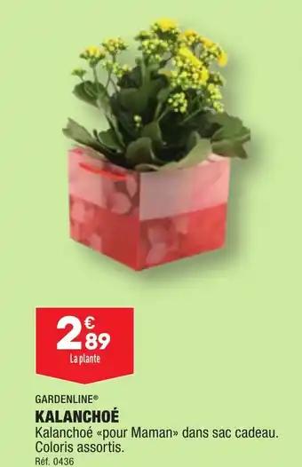 KALANCHOÉ