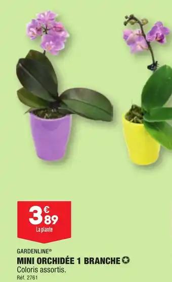 MINI ORCHIDÉE 1 BRANCHE✪