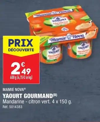YAOURT GOURMAND(B)
