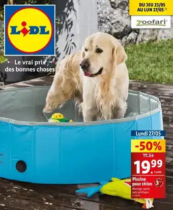 Piscine pour chien