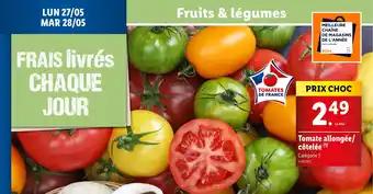 Tomate allongée/ côtelée (1)