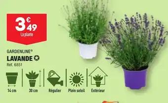 GARDENLINE® LAVANDE✪